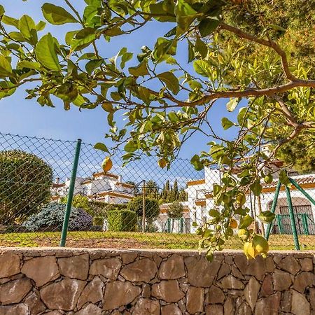 Castillo De Zalia Conjunto Rural Alcaucin Exterior photo