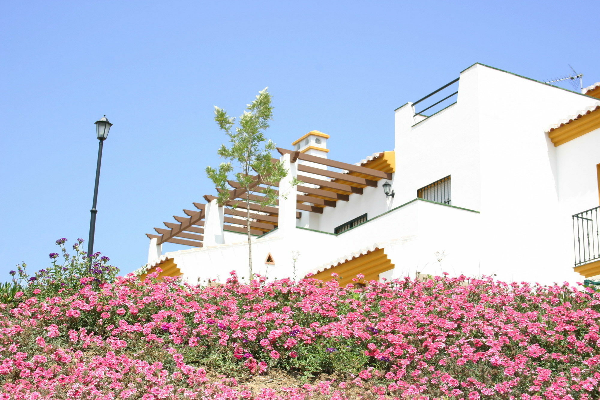 Castillo De Zalia Conjunto Rural Alcaucin Exterior photo